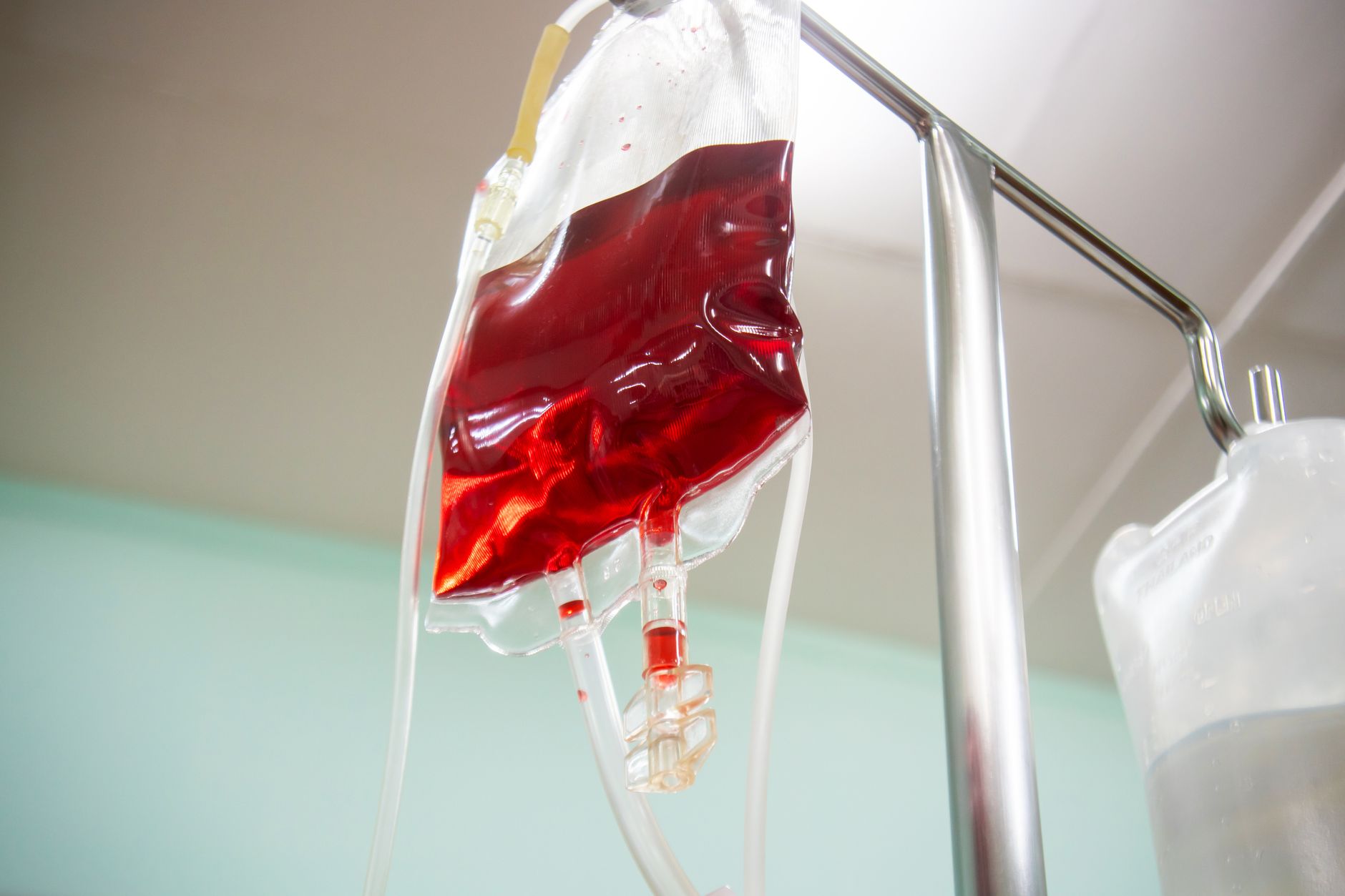Osoba sprawdzająca kartę grupy krwi w przytulnym otoczeniu domowym
